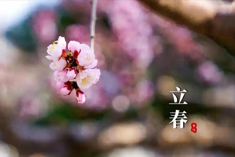 2026立春时间，4种人要“躲春”，记得做3事忌3事，新年开个好头