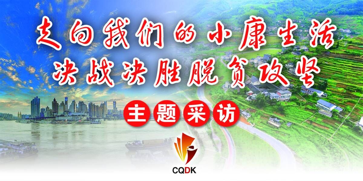 走向我们的小康生活（14）丨黔江区金溪镇：把脉问诊开良方  打造“三金”奔小康