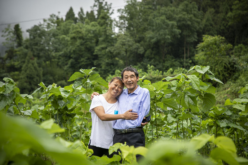 走向我们的小康生活（14）丨黔江区金溪镇：把脉问诊开良方  打造“三金”奔小康