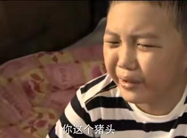 “晴格格”王艳：22岁嫁大11岁富豪，被小8岁继子打被亲儿子辱说