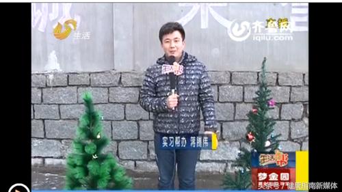 给妈妈们提个醒！漂亮的圣诞树1分钟烧成渣，市面很难见合格产品