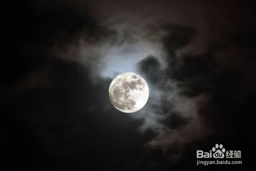 如何玩杀人游戏(天黑请闭眼)