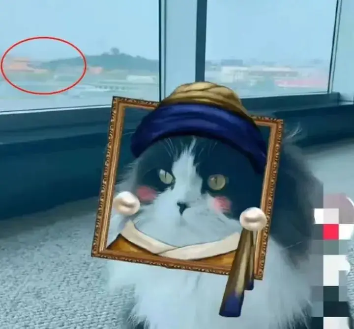 冲上热搜！知名女演员的富豪丈夫，被限制高消费