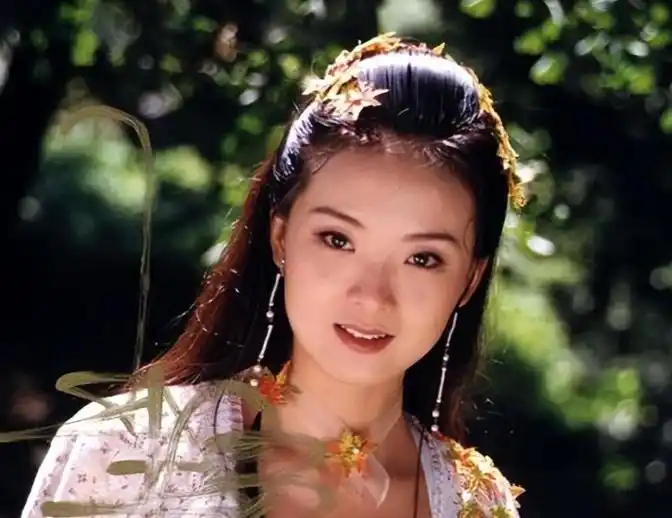 王艳豪门梦碎！丈夫丑闻曝光，转型短视频获新生！