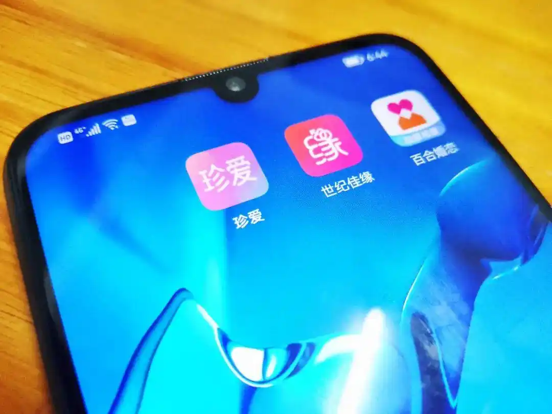 婚恋网站大败局