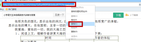 冰点文库去广告单文件版本 V3.2.16.0125 最新免费版