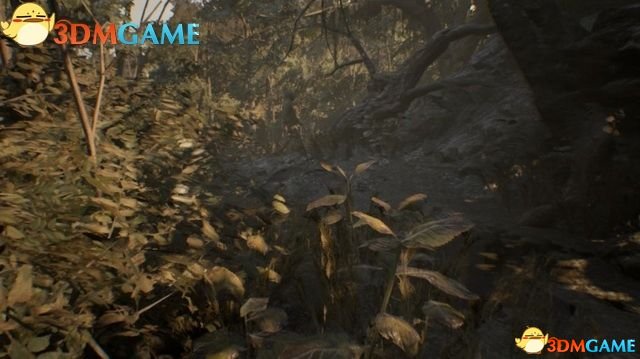 生化危机7 图文攻略 全剧情全谜题详细解析