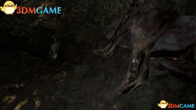 生化危机7 图文攻略 全剧情全谜题详细解析