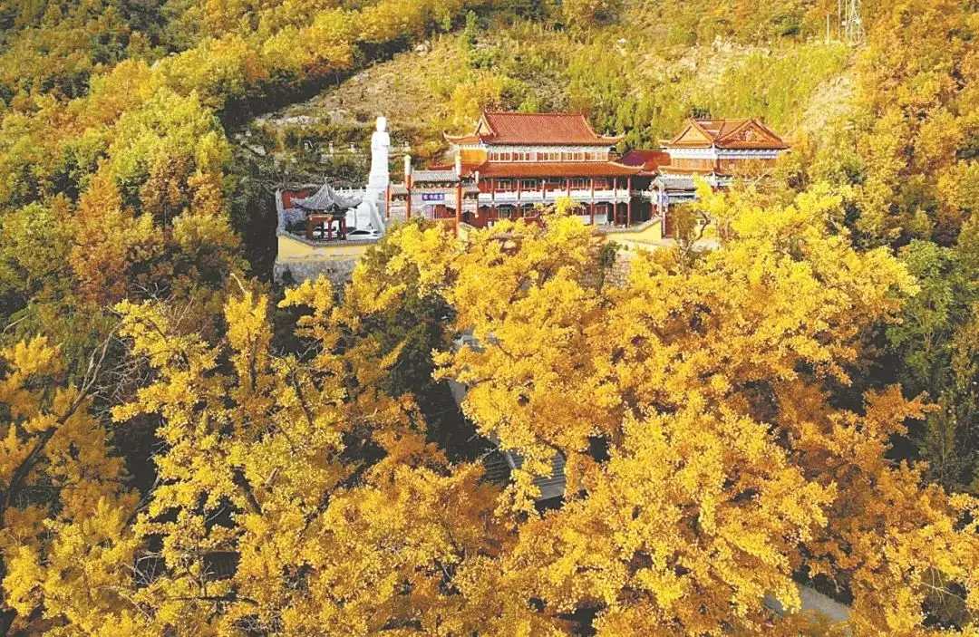 墨子VS鲁班,看俩鲁山老乡4次舌战!