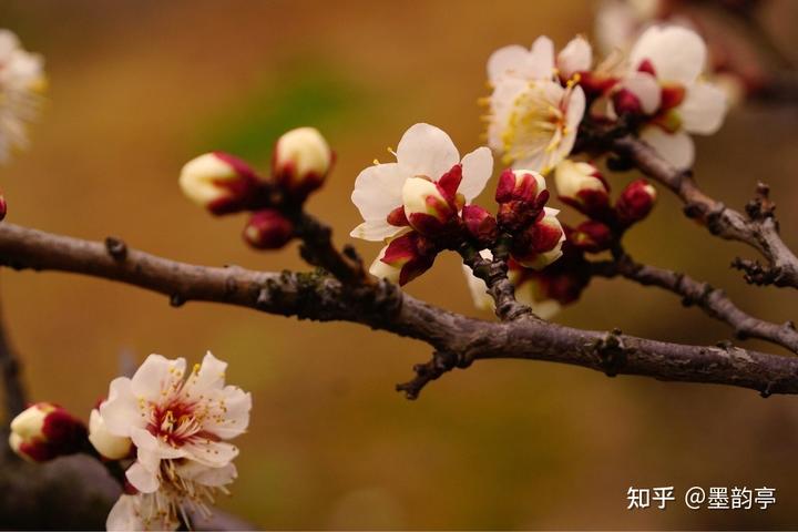 孙姓如何取名? 如何取一个既大方又好听的名字呢?