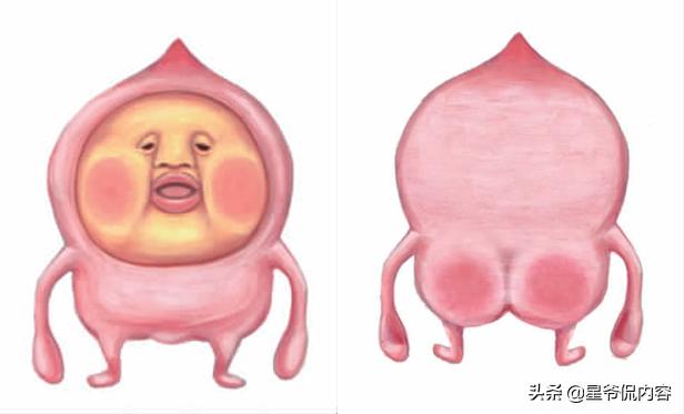 要想攻下90后妈妈，这些母婴亲子类IP你要知道