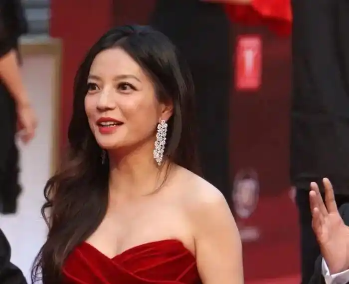 赵薇资本迷局：从 “小燕子” 到百亿玩家，登阶之路为何戛然而止？