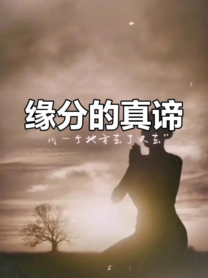 缘分到底是什么东西?