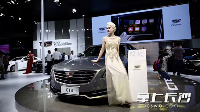 你想买车？等5月的大车展——湖南车展更省钱