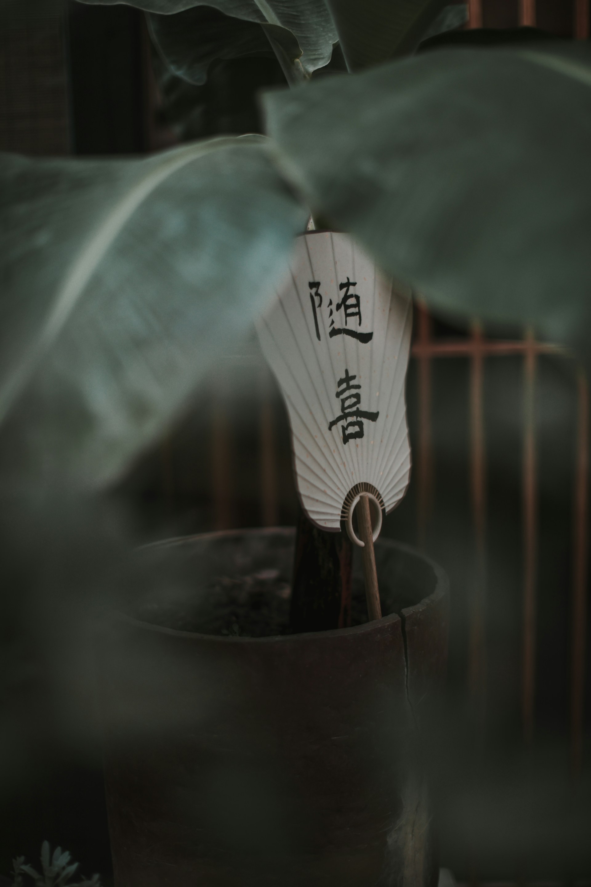 中国人讲的“缘分”，到底是什么？