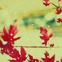 怎么降低在知网上查重的论文的重复率