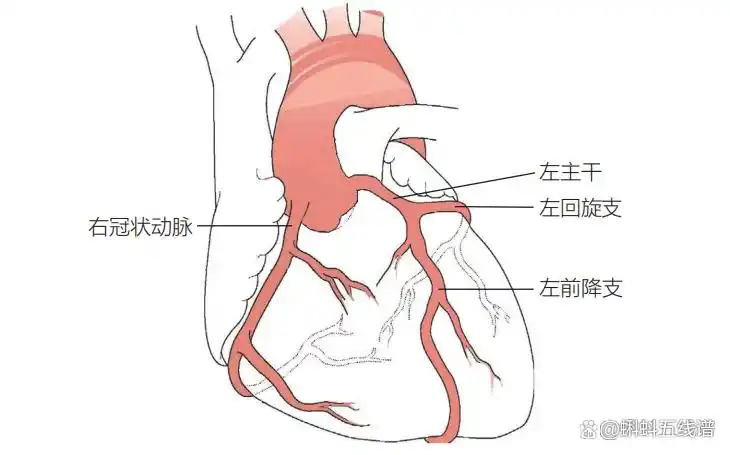 单凭心电图“ST-T段改变”诊断心肌缺血?你又错了……
