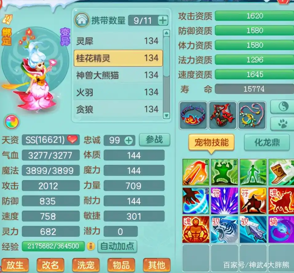 高级必杀红心猫女领衔！盘点《神武4》电脑版玩家的信仰宠物