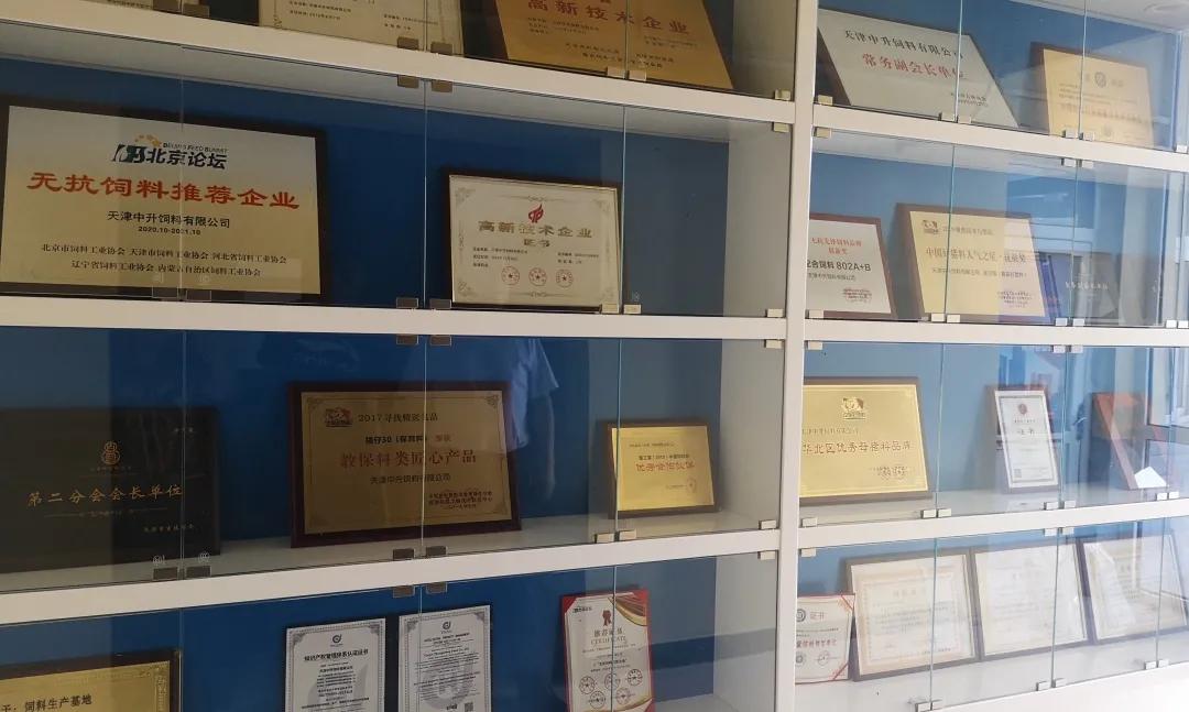 精于营养，专于健康，中升饲料专注精品，打造华北第一影响力品牌