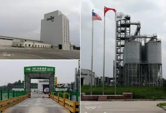 树立创新氛围，把握创新方向，嘉吉谈创新始终聚焦客户价值