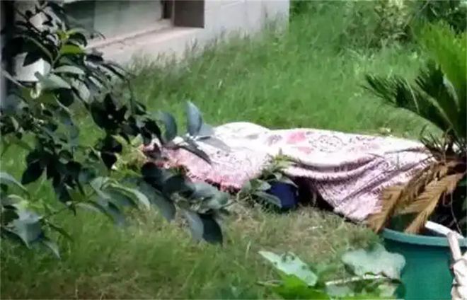 故事：都杀了！业主群声讨小区广场舞大妈，当晚领舞无声无息死了