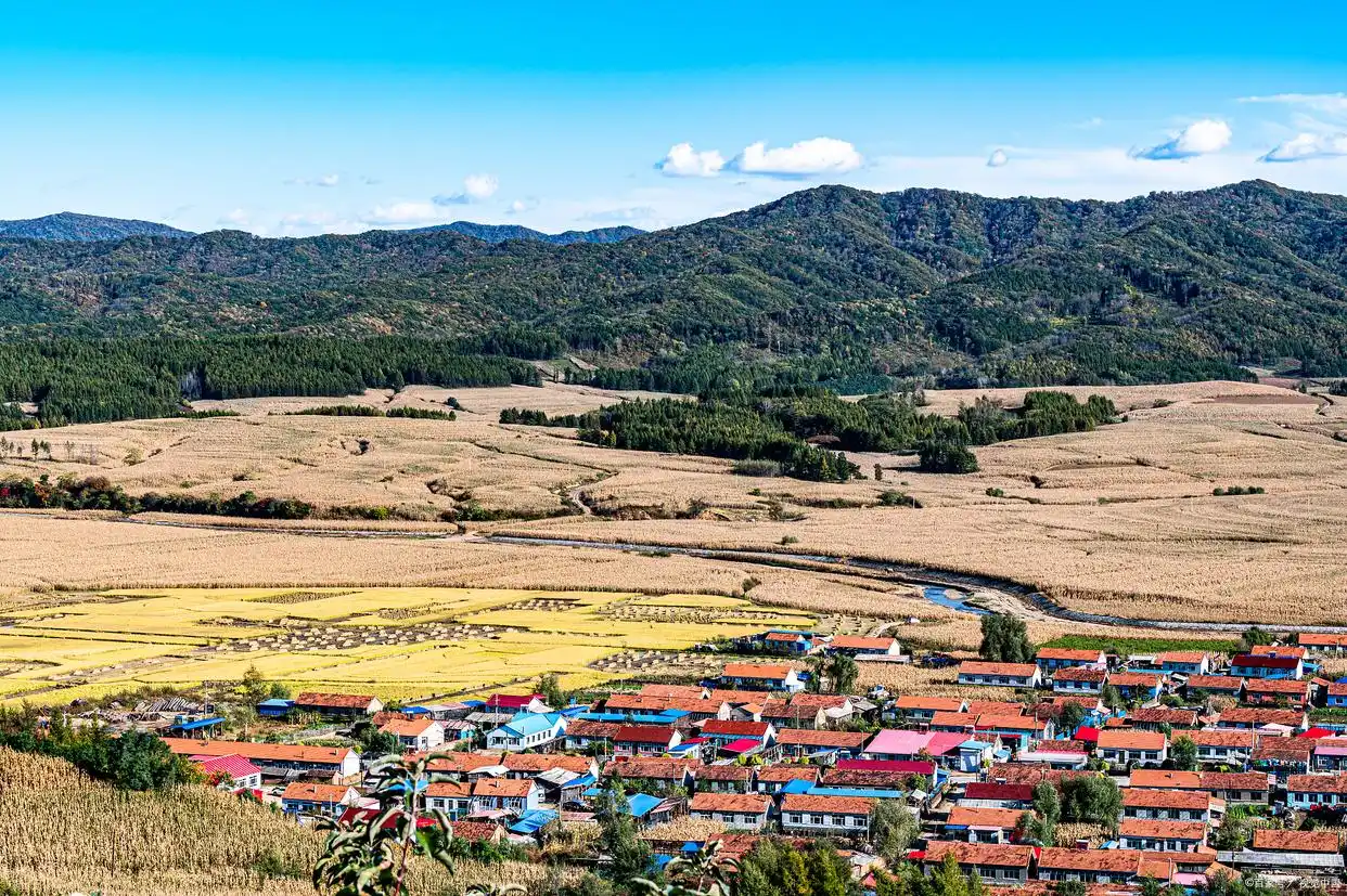 地方为什么怕进京信访