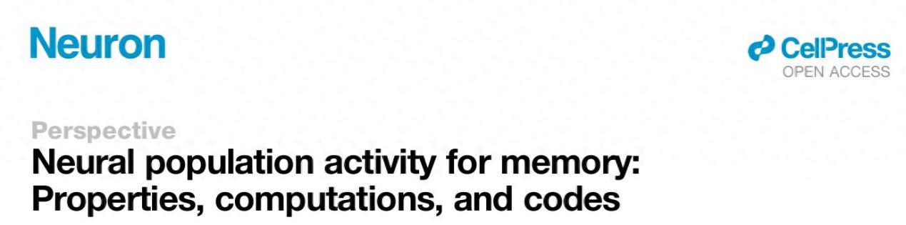 神经群体的“集体记忆”之谜：大脑如何编码我们的过去？