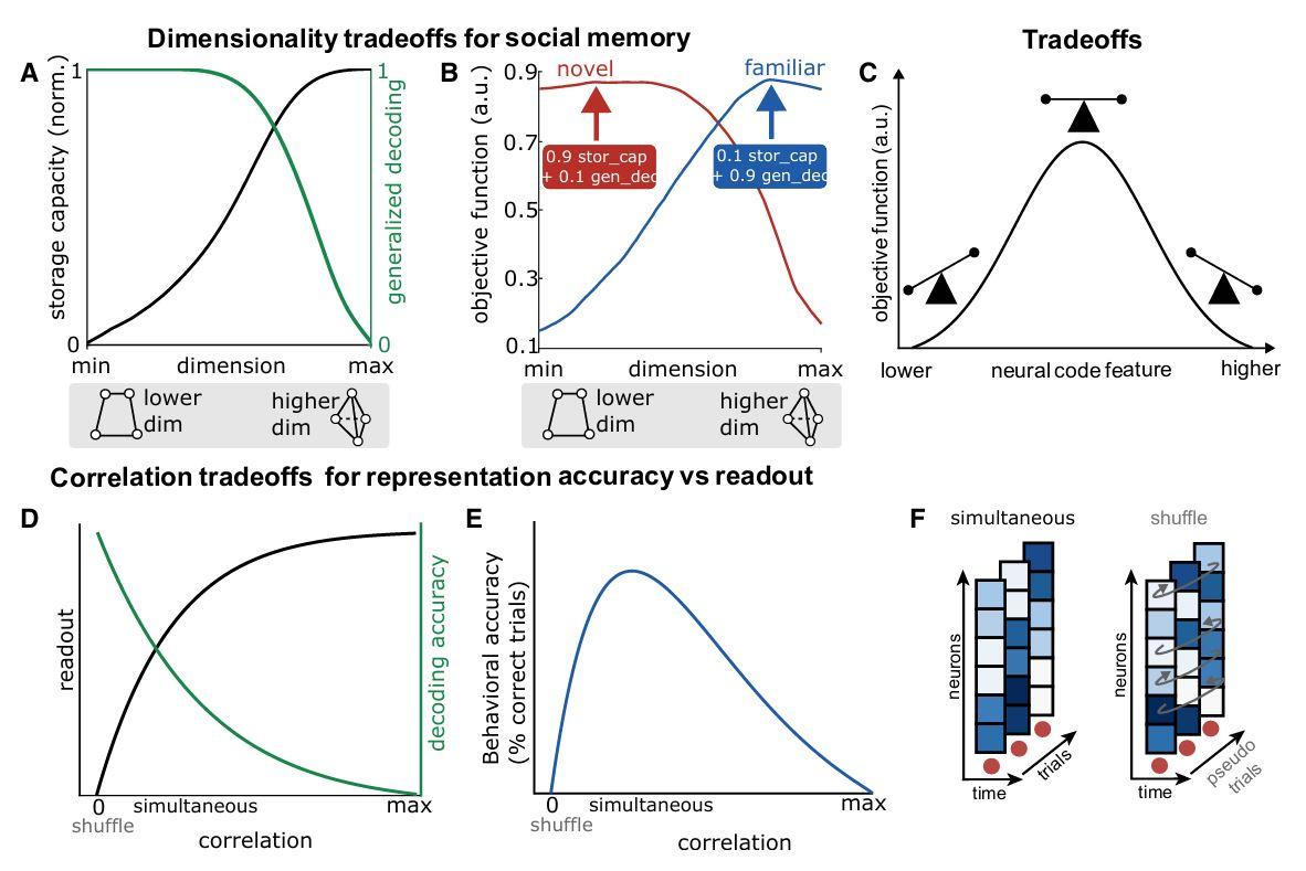 神经群体的“集体记忆”之谜：大脑如何编码我们的过去？