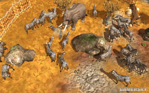 野生动物园大亨3 免安装中文硬盘版下载