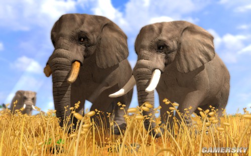 野生动物园大亨3 免安装中文硬盘版下载