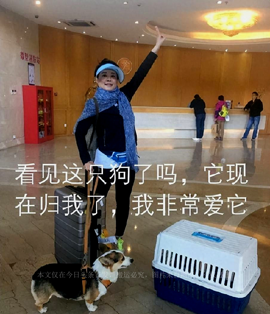 电影节的红毯，将袁立的“荒诞”展现得淋漓尽致