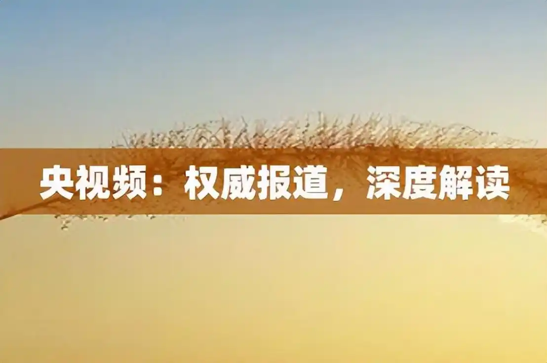 财经新闻报道中，语言表达有模糊性，顺应论或可解决