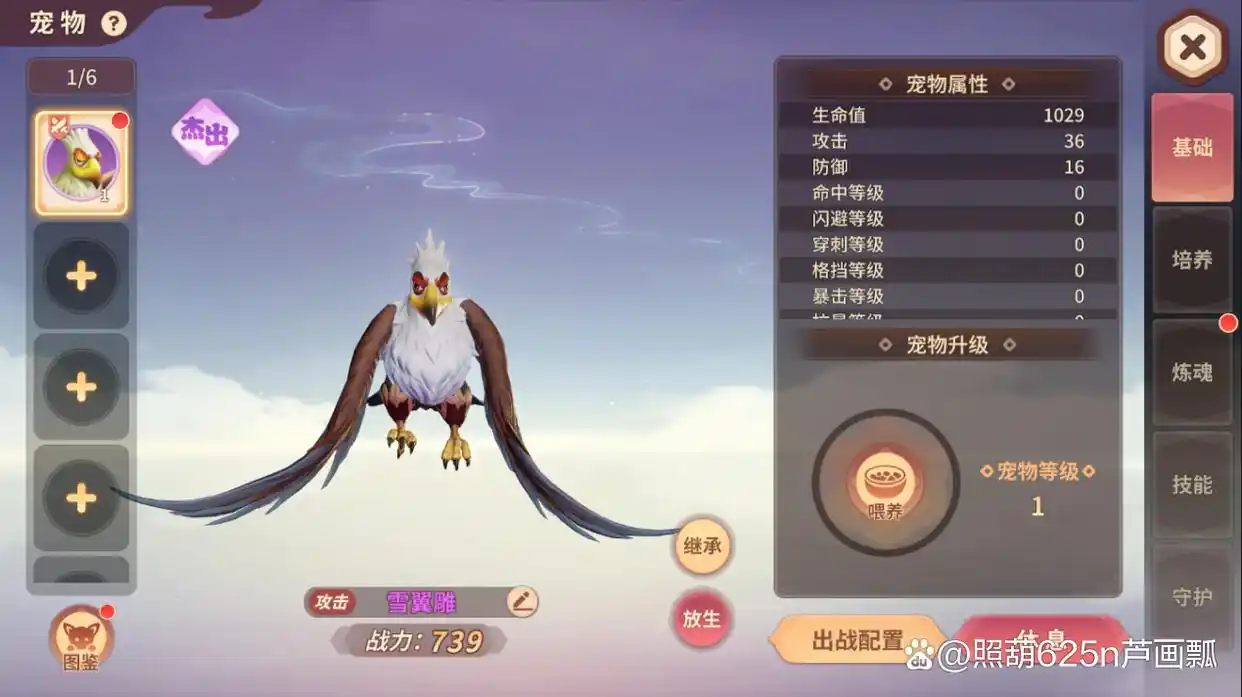 《再见江湖》宠物玩法攻略大全