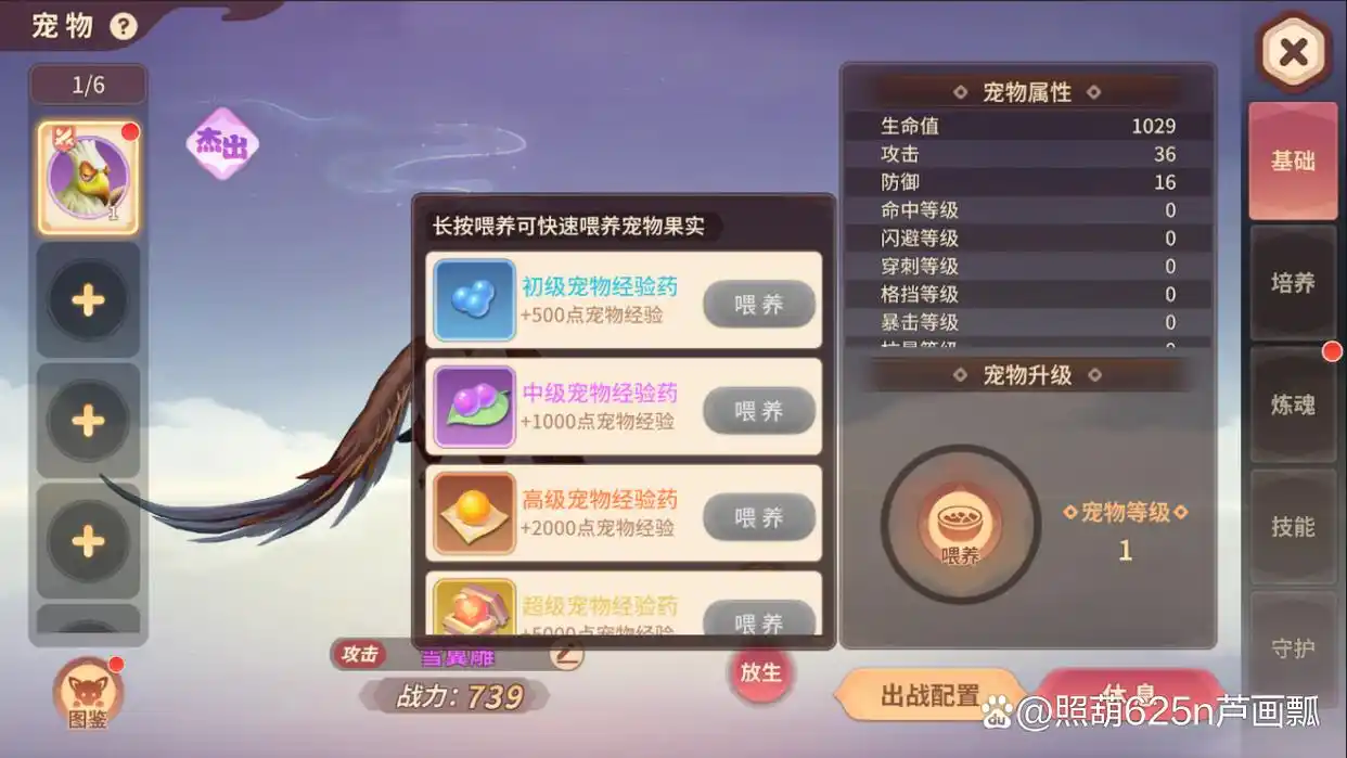 《再见江湖》宠物玩法攻略大全