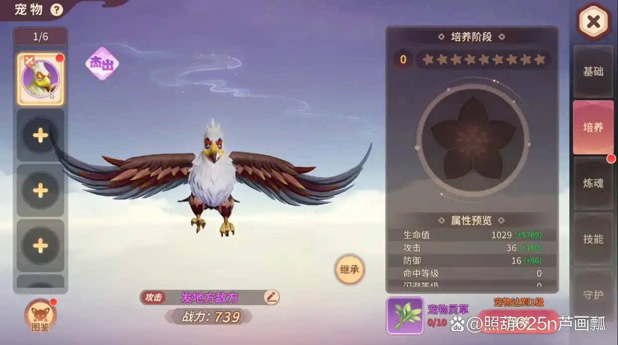 《再见江湖》宠物玩法攻略大全