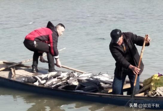 国家大事，与月薪3000元的我们没关系？看看五个真实案例