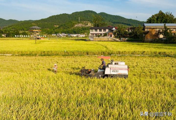 国家大事，与月薪3000元的我们没关系？看看五个真实案例