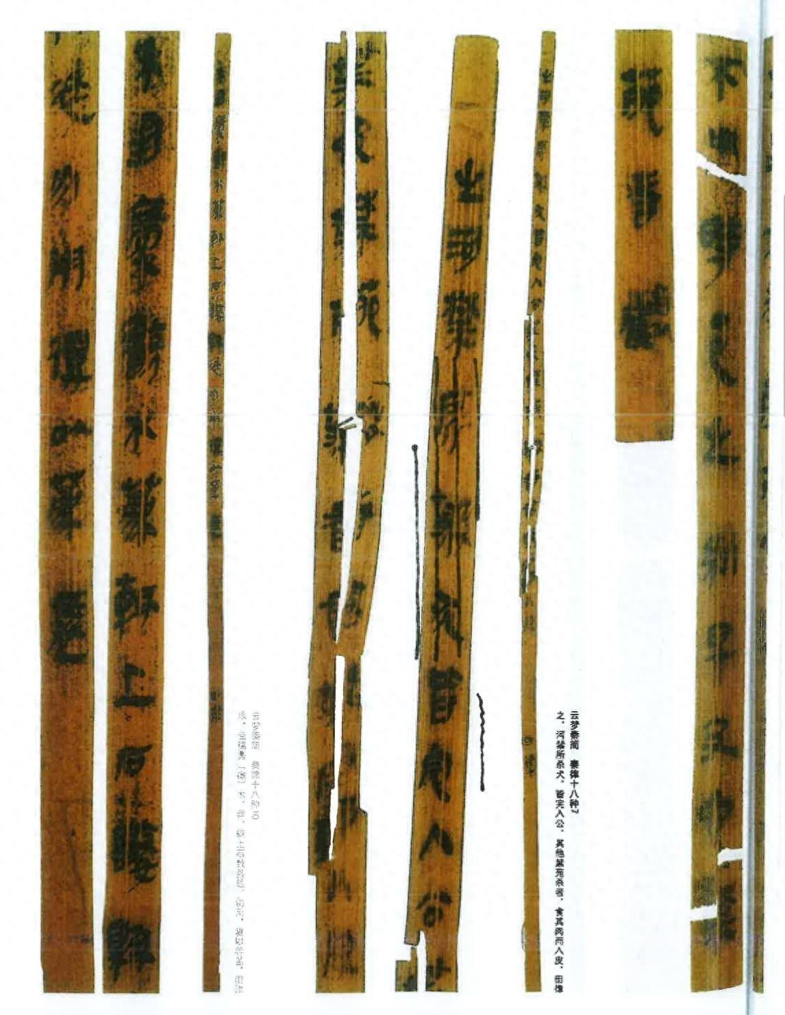 国家大事用小篆 日常公文书秦隶