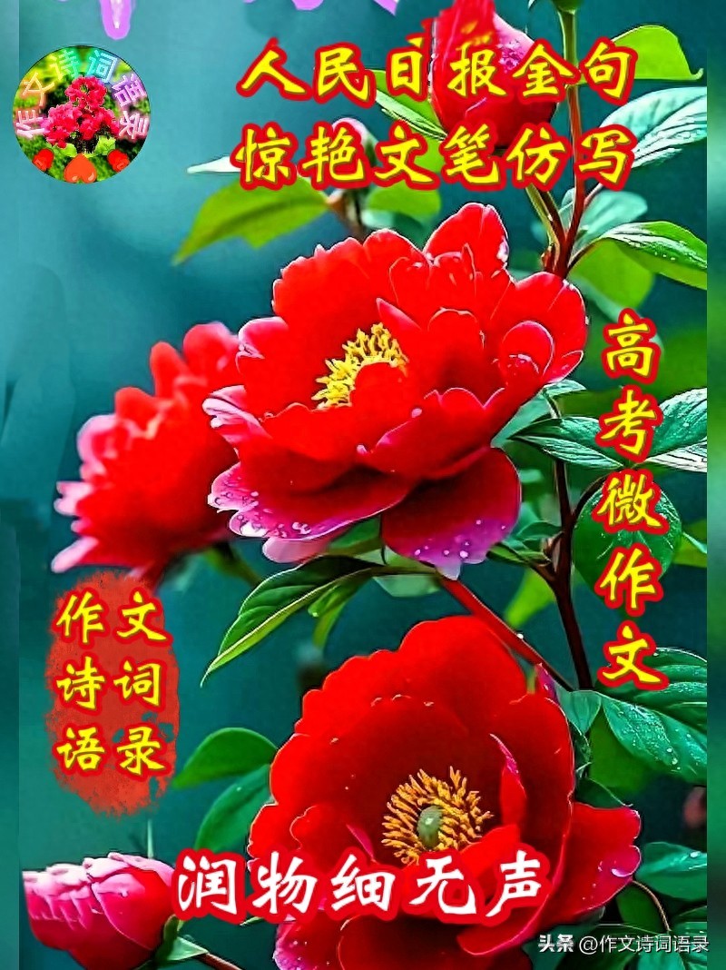 跟我学习仿写523