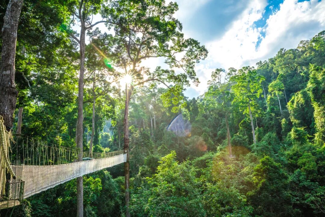 当滇超联赛遇上西双版纳……