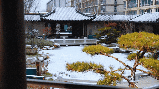 十年了！绿城在天津的“含金量”还在上升！