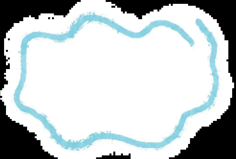 蓝色战队齐聚台山：海洋环保行动热潮