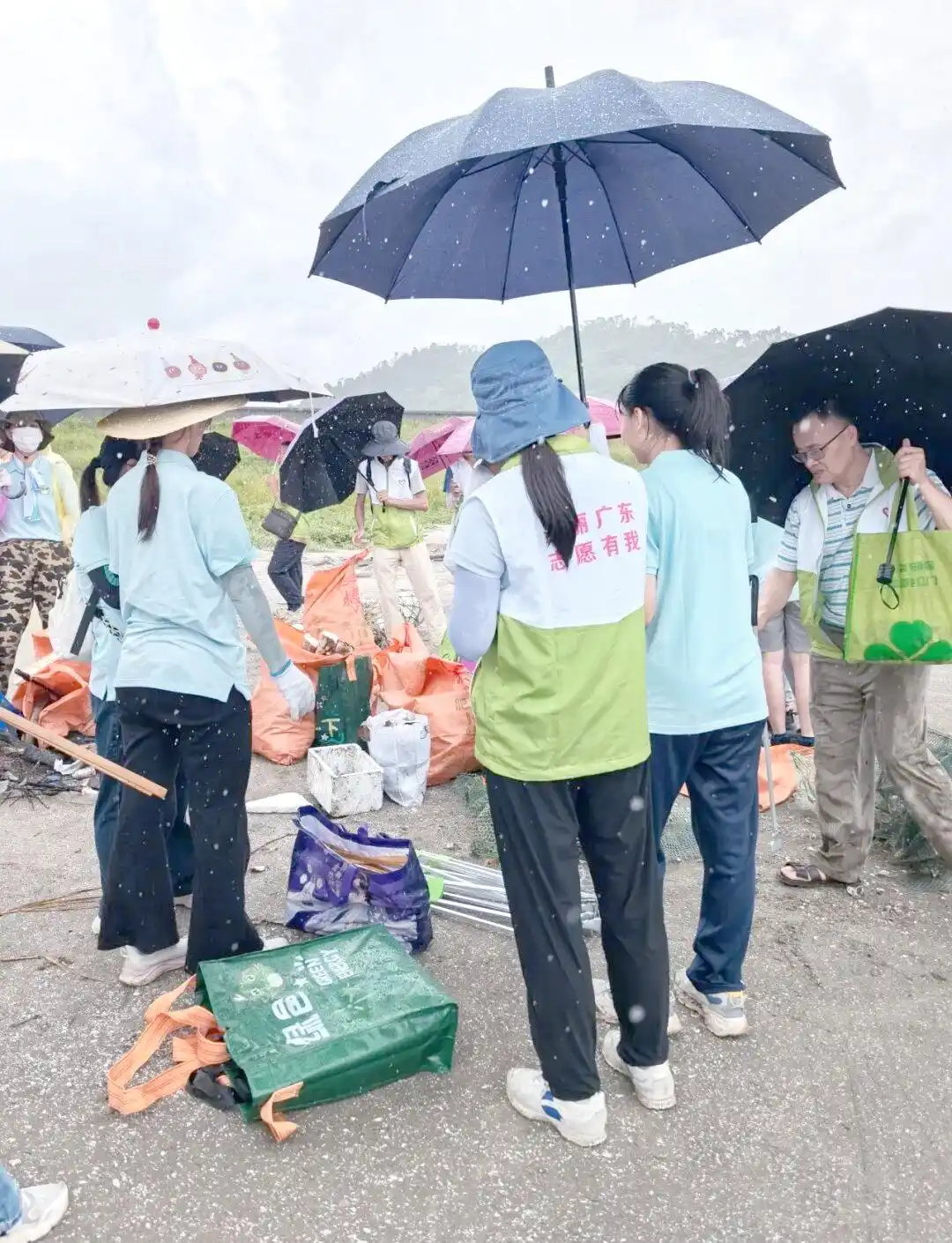蓝色战队齐聚台山：海洋环保行动热潮