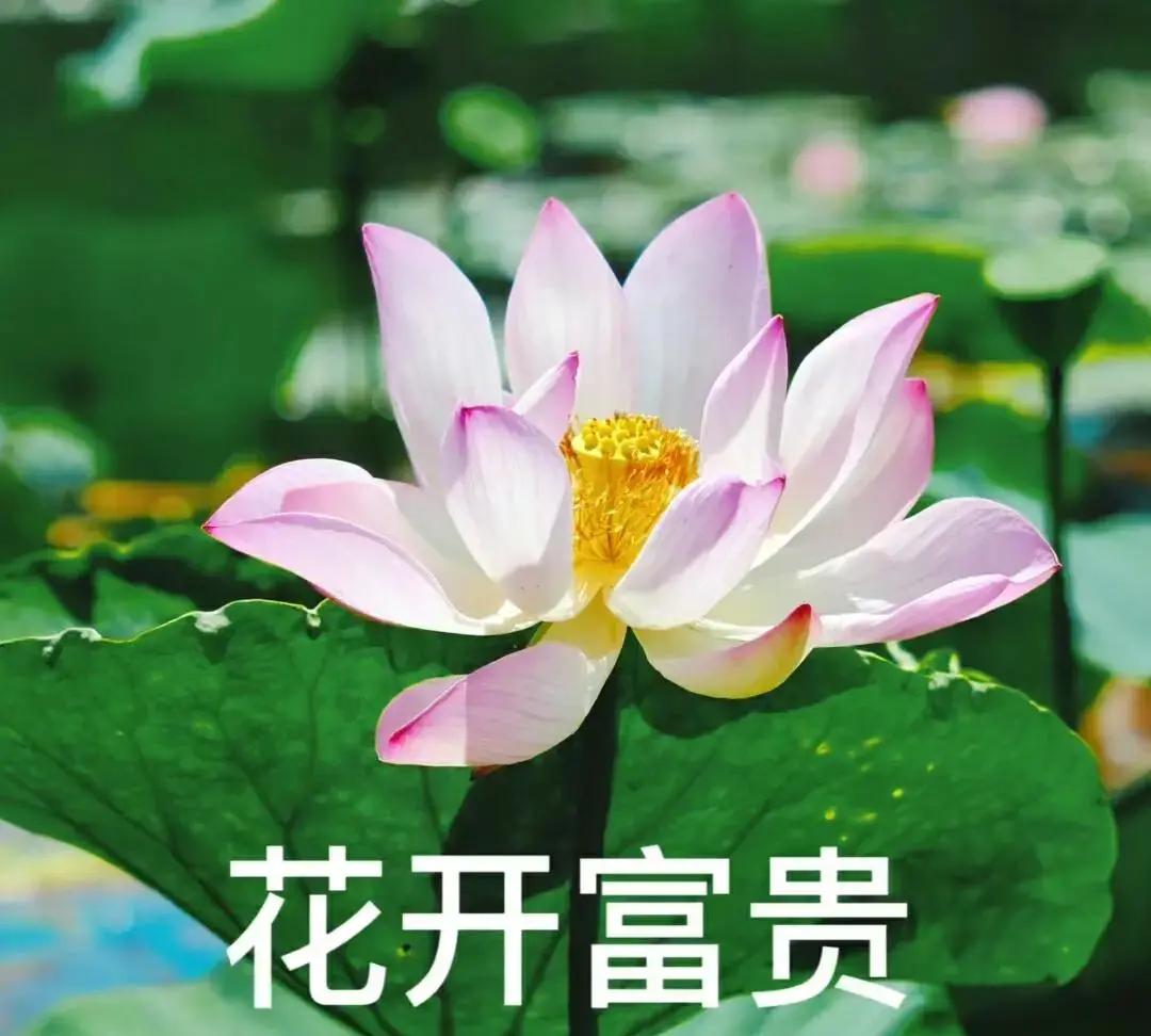 人生贫富有预兆,发不了财,可能这三个原因,看看你身上有哪个?