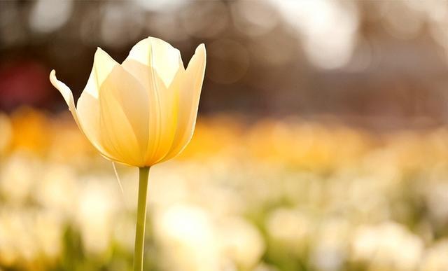 “命中带财，自有天相”：一个人的财运，要看这些天意