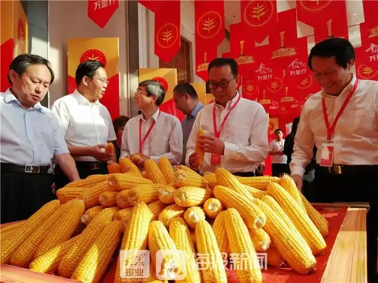 庆丰收迎小康！这些人齐聚乐陵，只为这场丰收盛典！