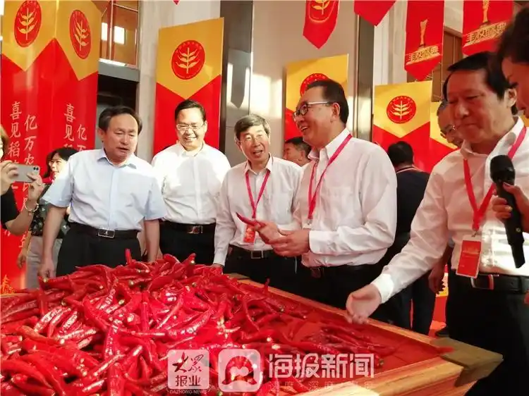 庆丰收迎小康！这些人齐聚乐陵，只为这场丰收盛典！