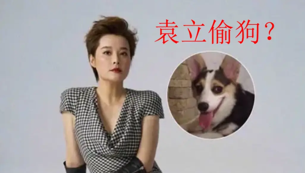 袁立：放着阔太不做，2段婚姻3次绯闻，后嫁小11岁穷男子后悔吗？