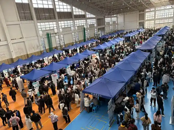 企业招聘渠道全面解析：优势与挑战