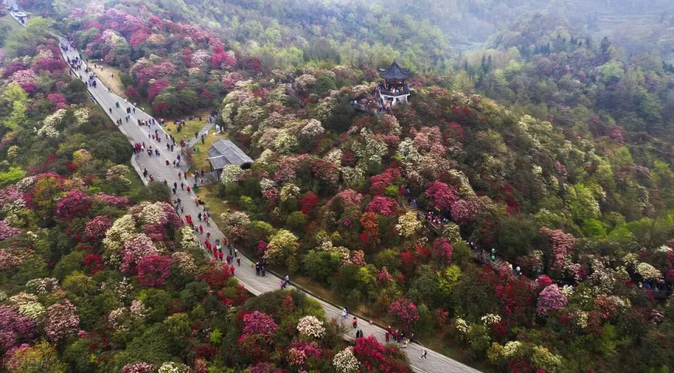 贵州旅游必去的15个景区，去过一半已经此生无憾，你去过了几个